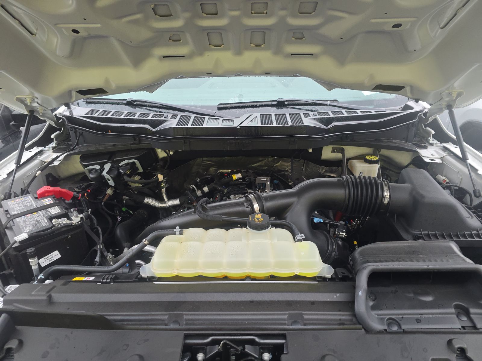 2024 Ford F-150 STX AWD