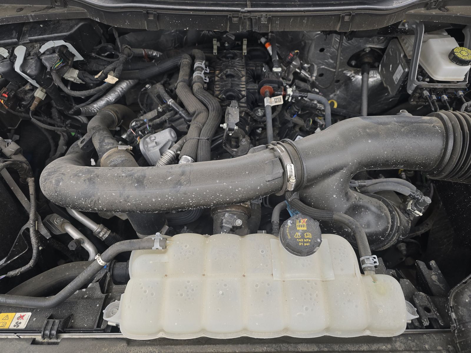 2025 Ford F-150 XLT AWD