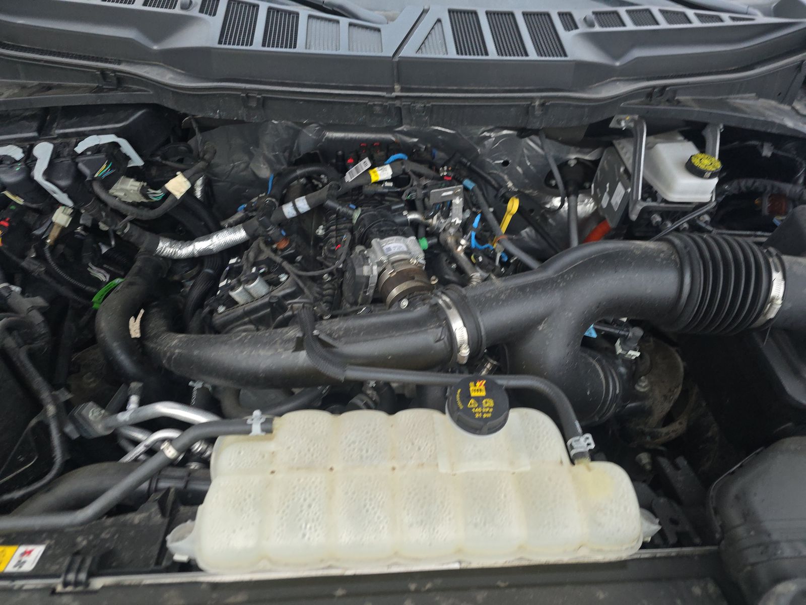 2025 Ford F-150 XLT AWD