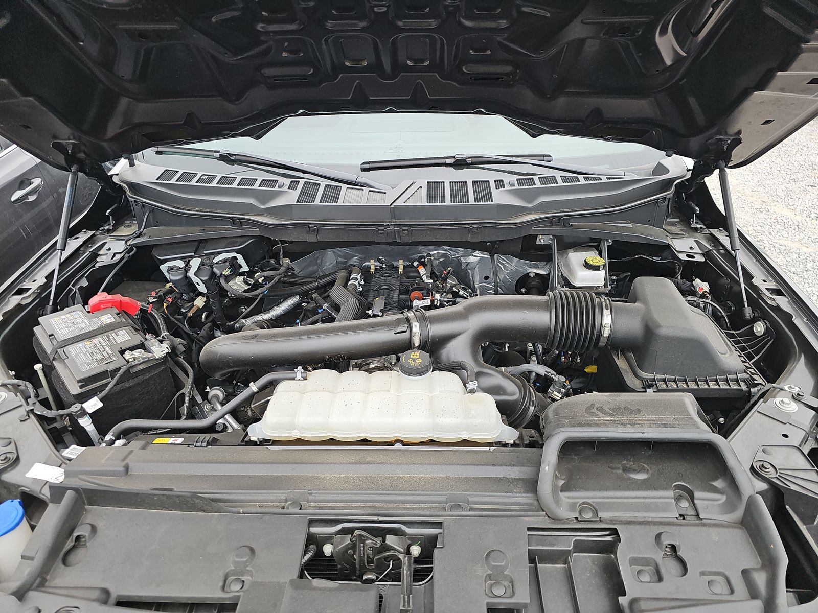 2025 Ford F-150 XLT AWD