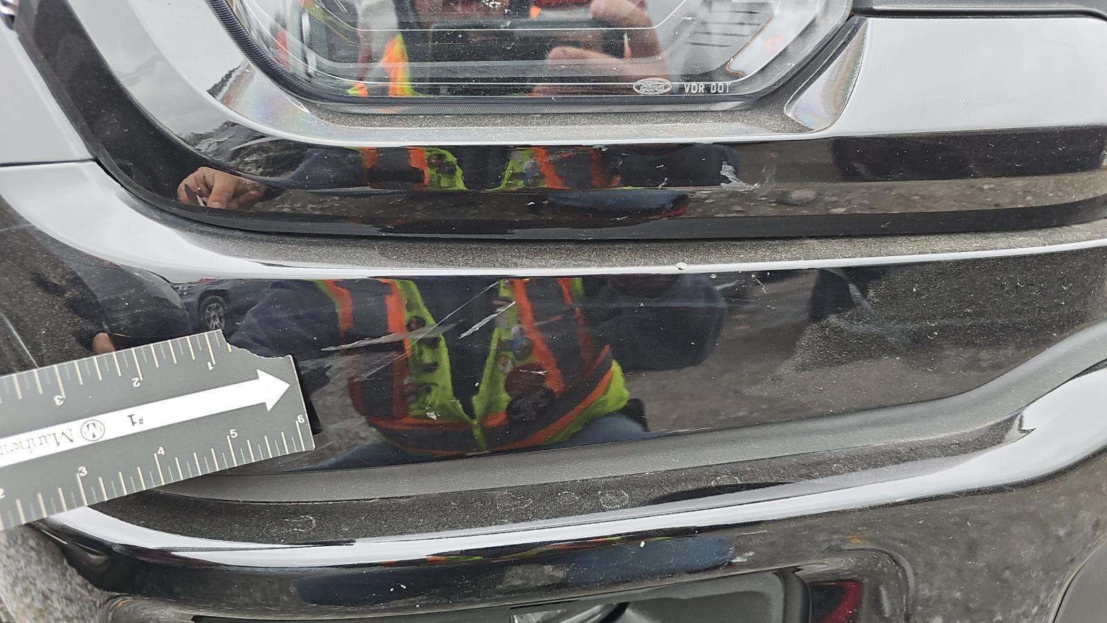 2025 Ford F-150 XLT AWD