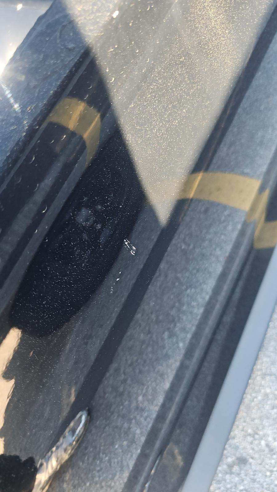 2019 Ford Mustang GT Premium RWD