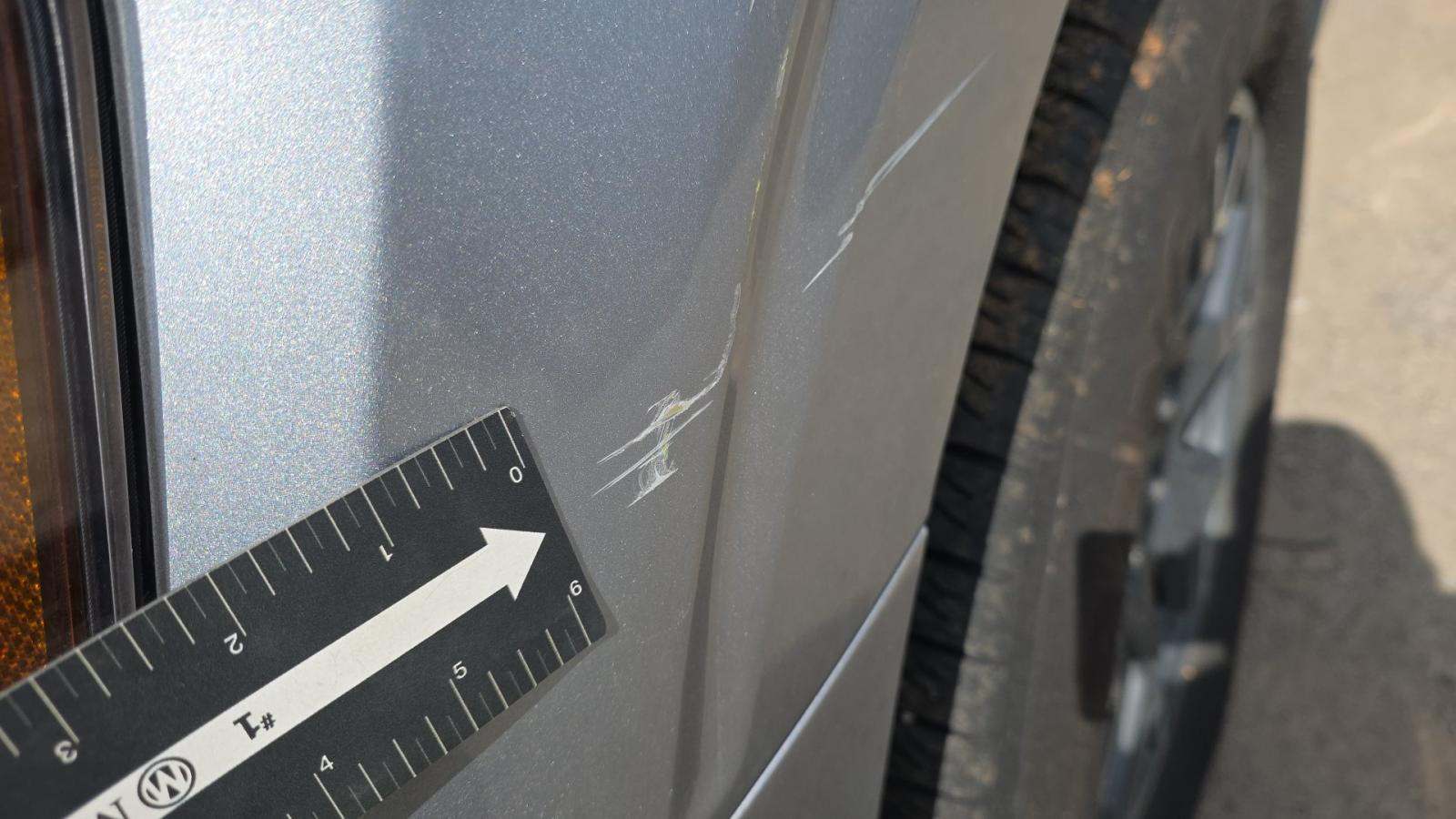 2025 Ford F-150 STX RWD