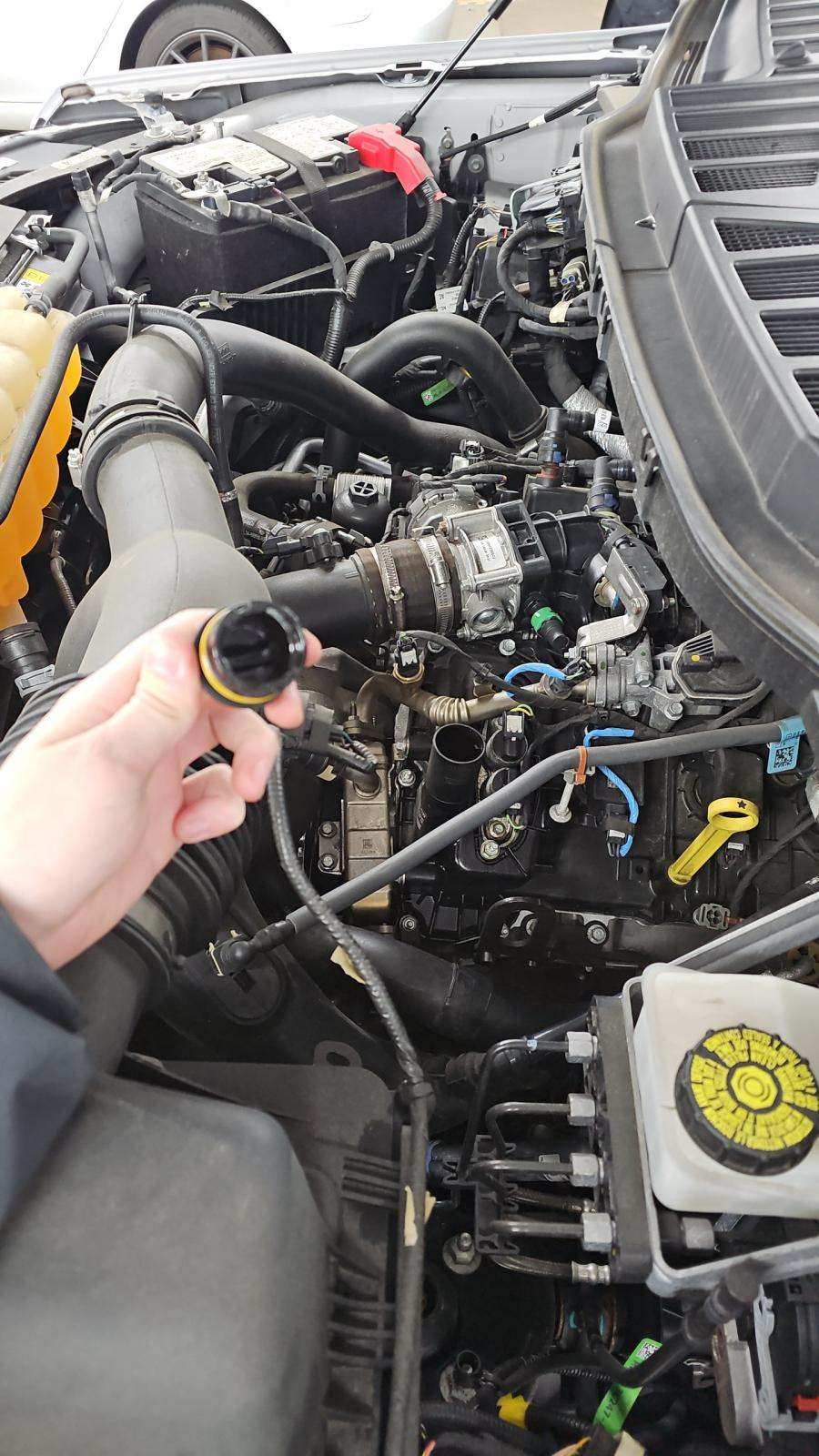 2023 Ford F-150 XL AWD