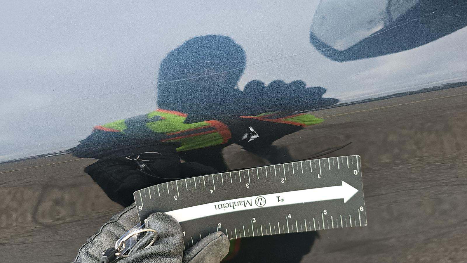 2023 Ford Explorer XLT AWD