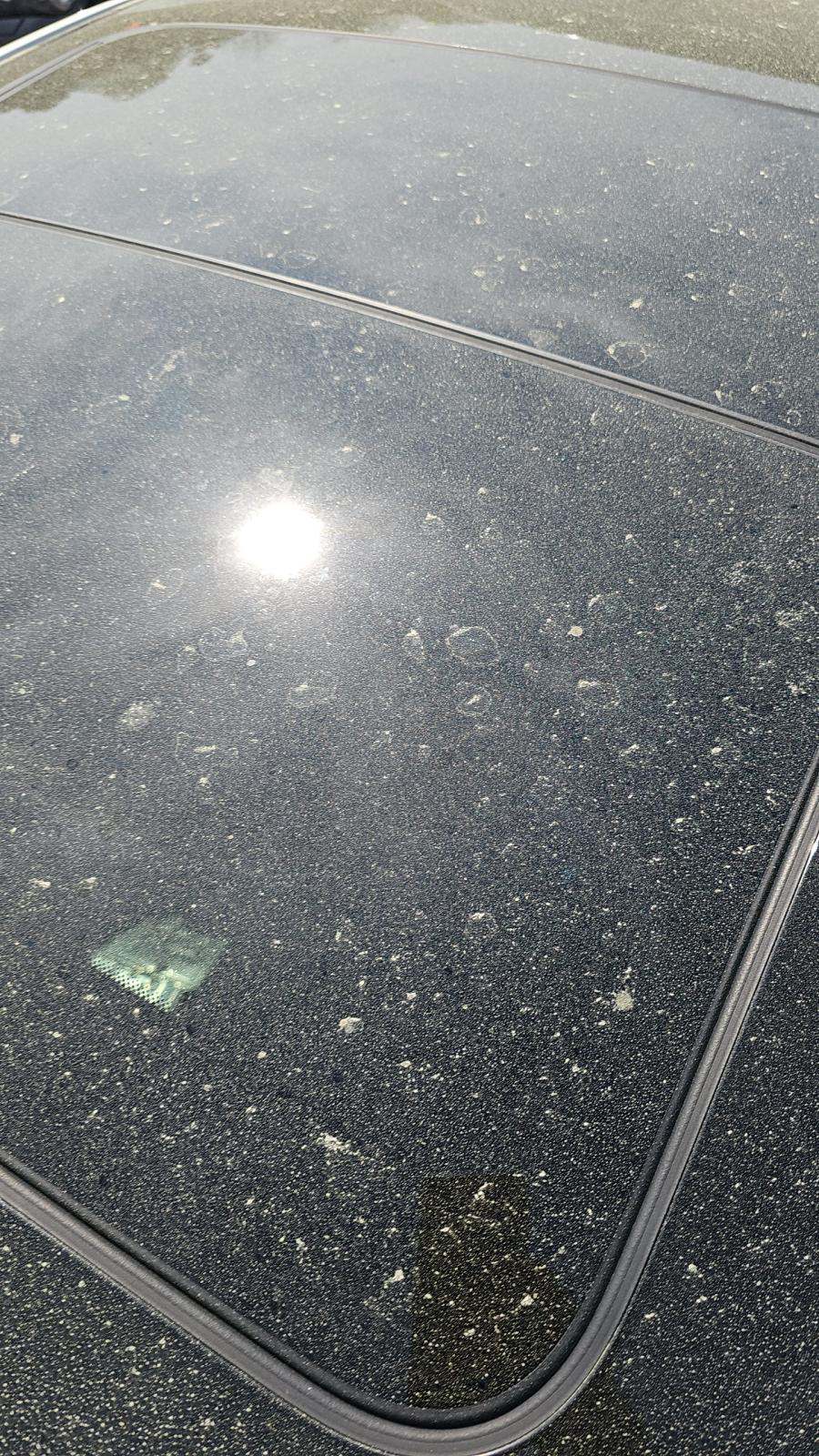 2025 BMW 2 Series 228i xDrive AWD