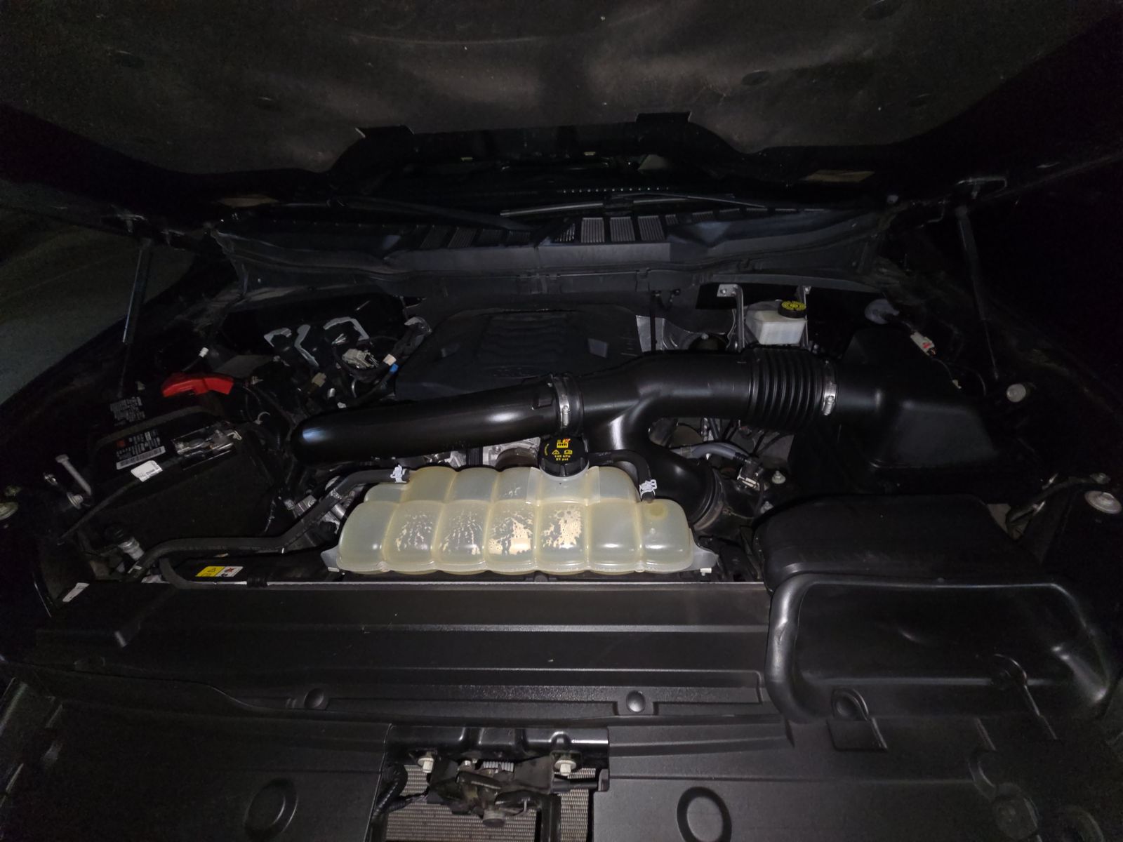 2023 Ford F-150 XLT RWD