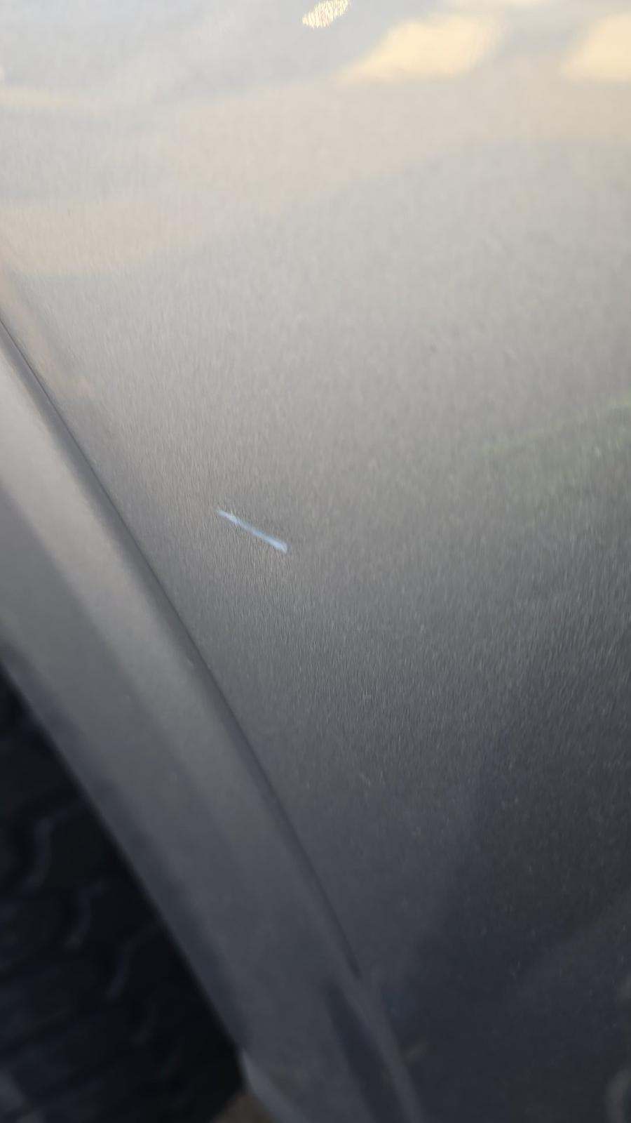 2025 Ford F-150 XLT AWD