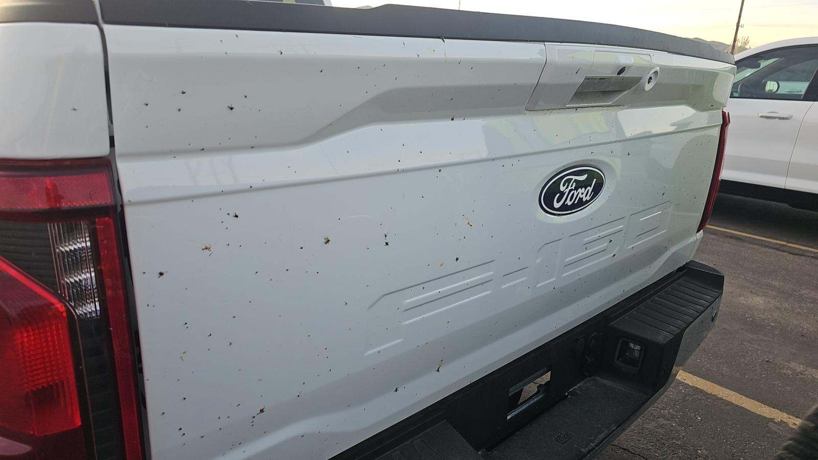 2024 Ford F-150 XLT AWD