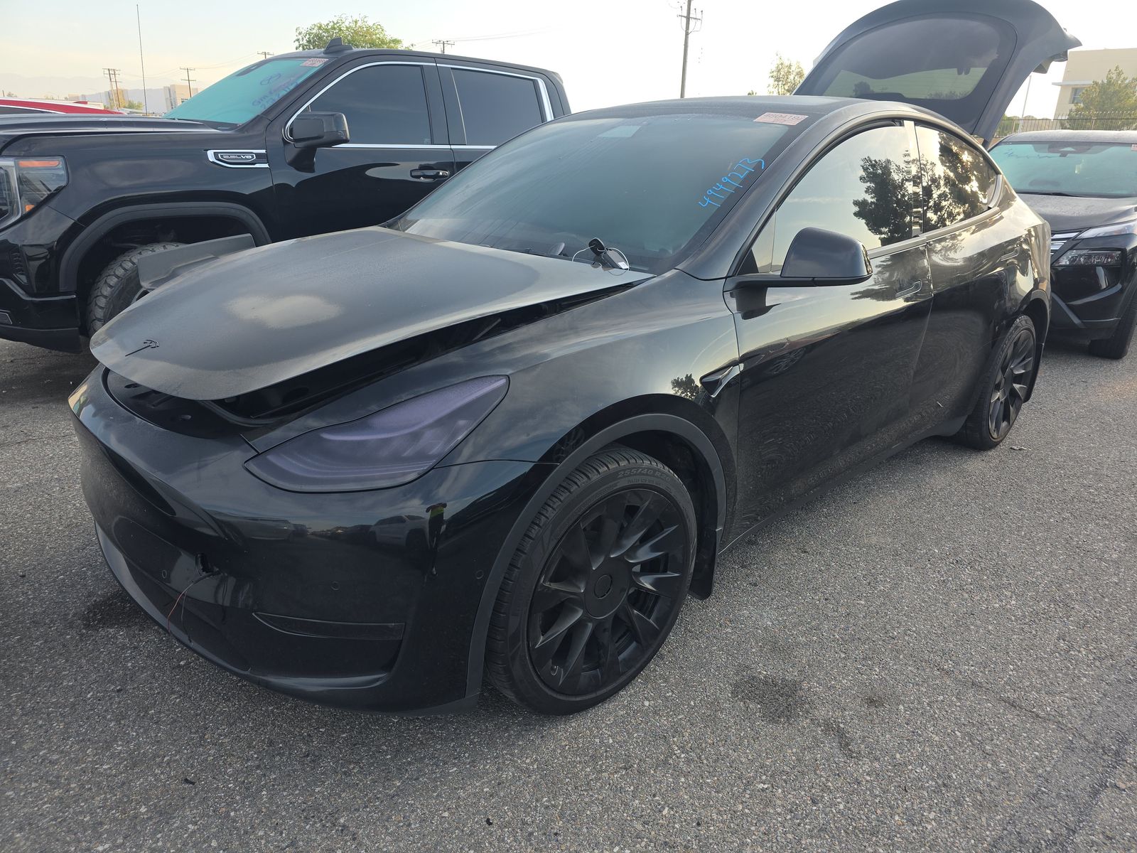 TESLA MODEL Y - 1