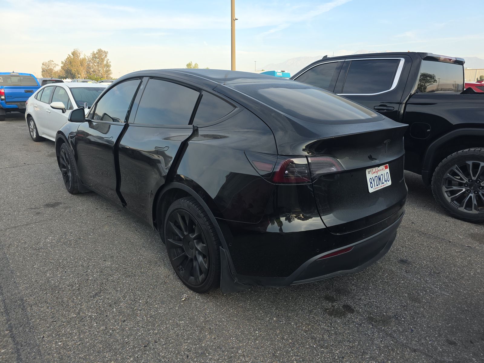 TESLA MODEL Y - 7