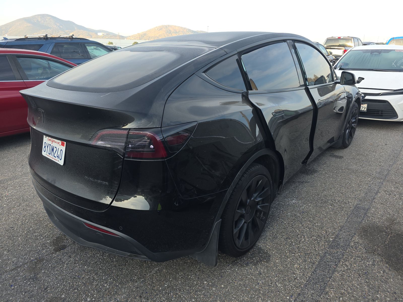TESLA MODEL Y - 5