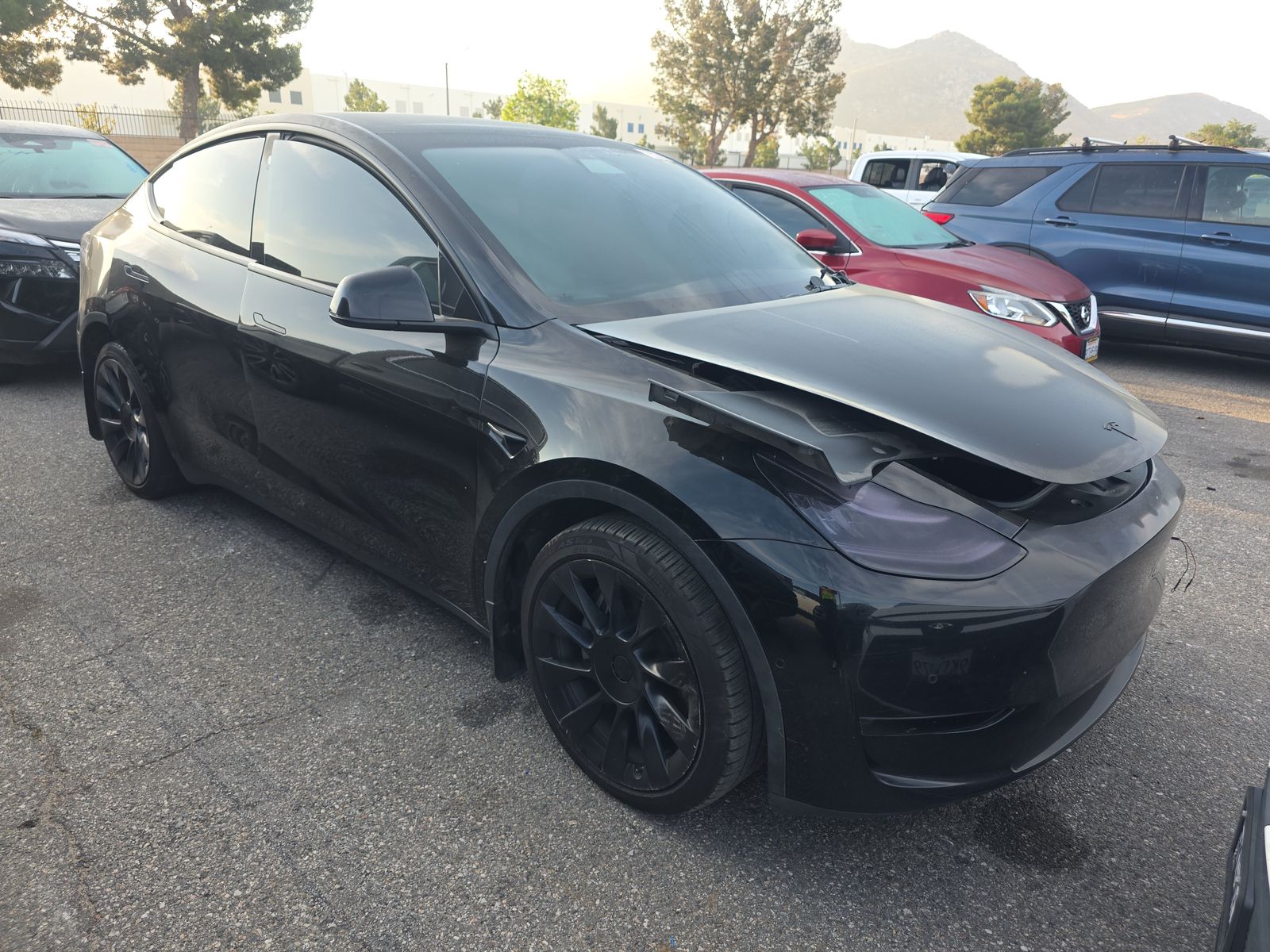 TESLA MODEL Y - 4