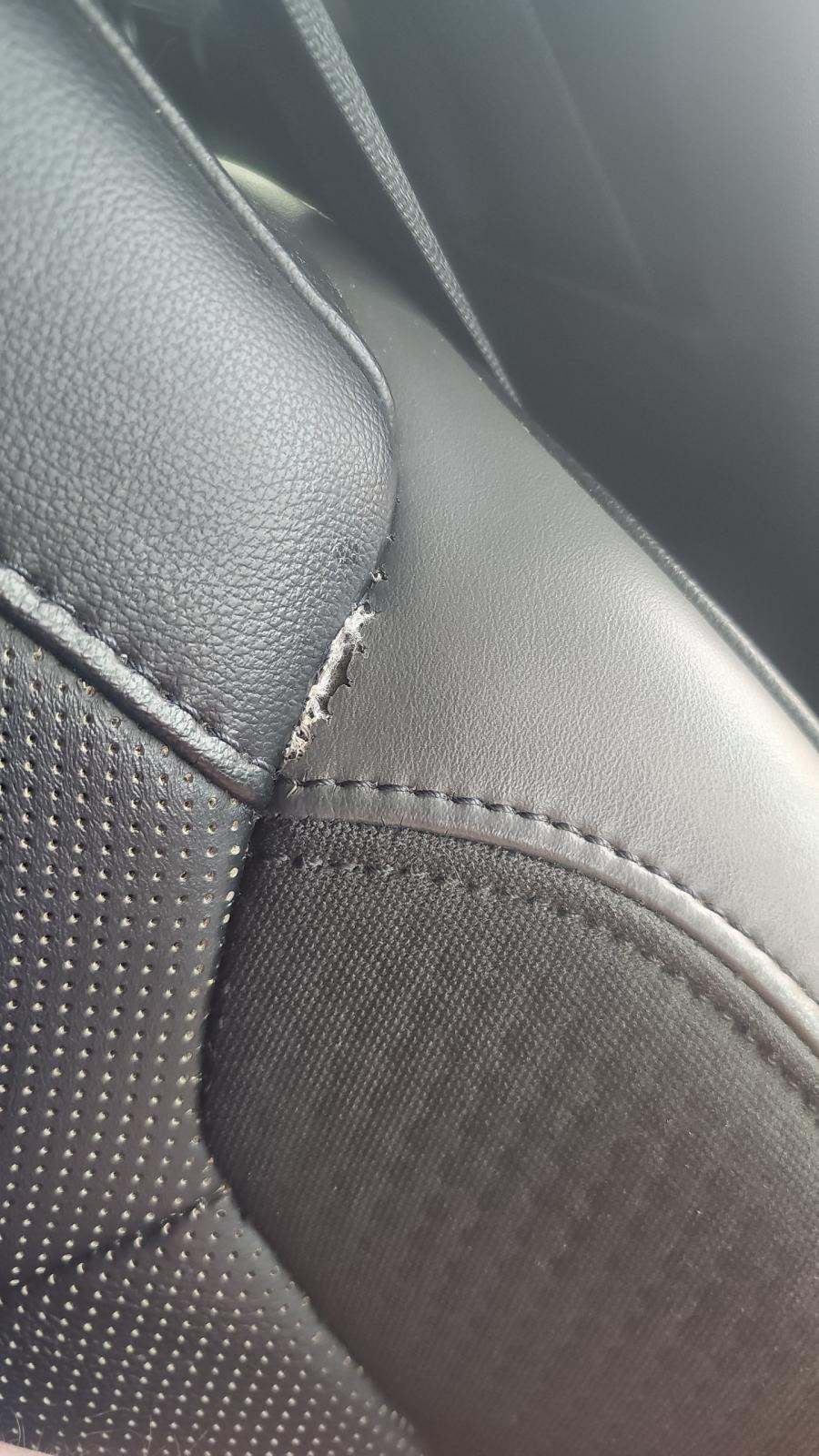 2019 Ford F-150 Raptor AWD