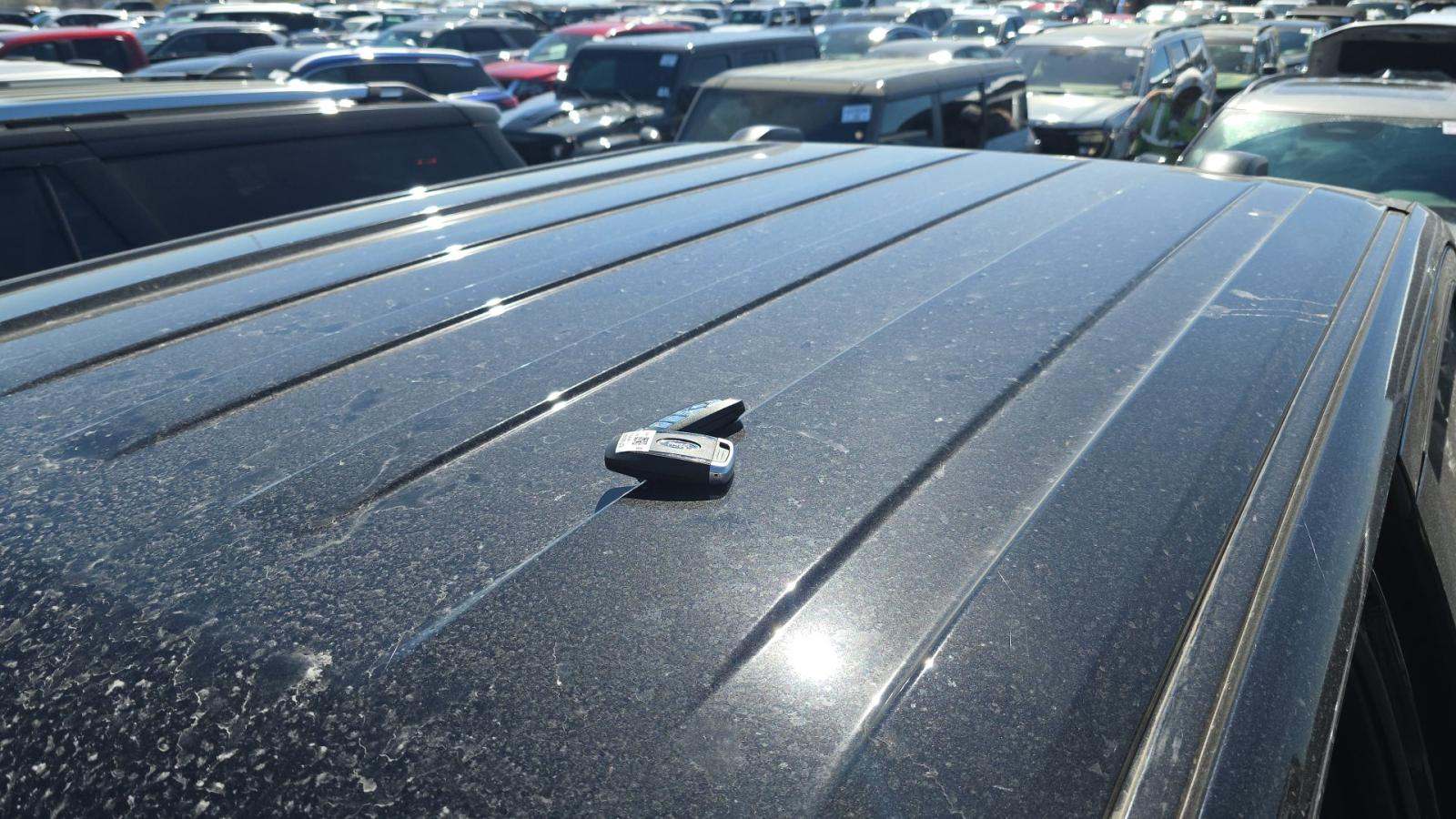 2025 Ford F-150 XLT AWD