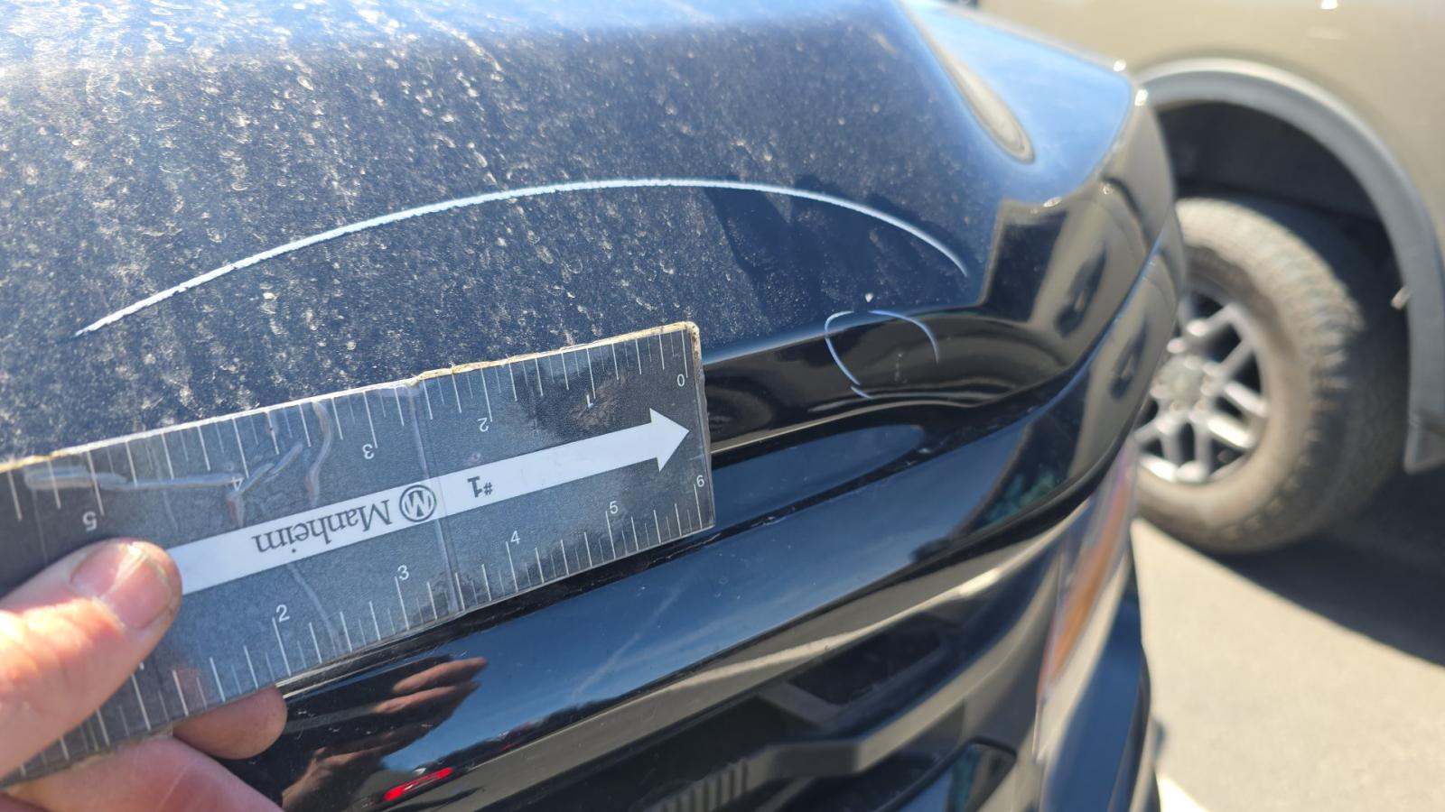 2025 Ford F-150 XLT AWD