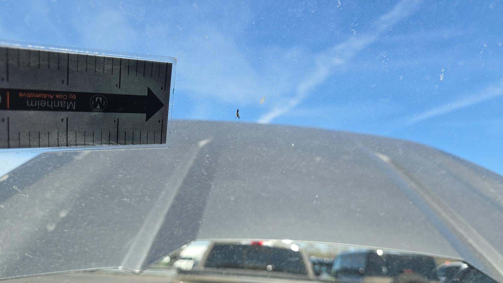 2025 Ford F-150 Hybrid XLT AWD