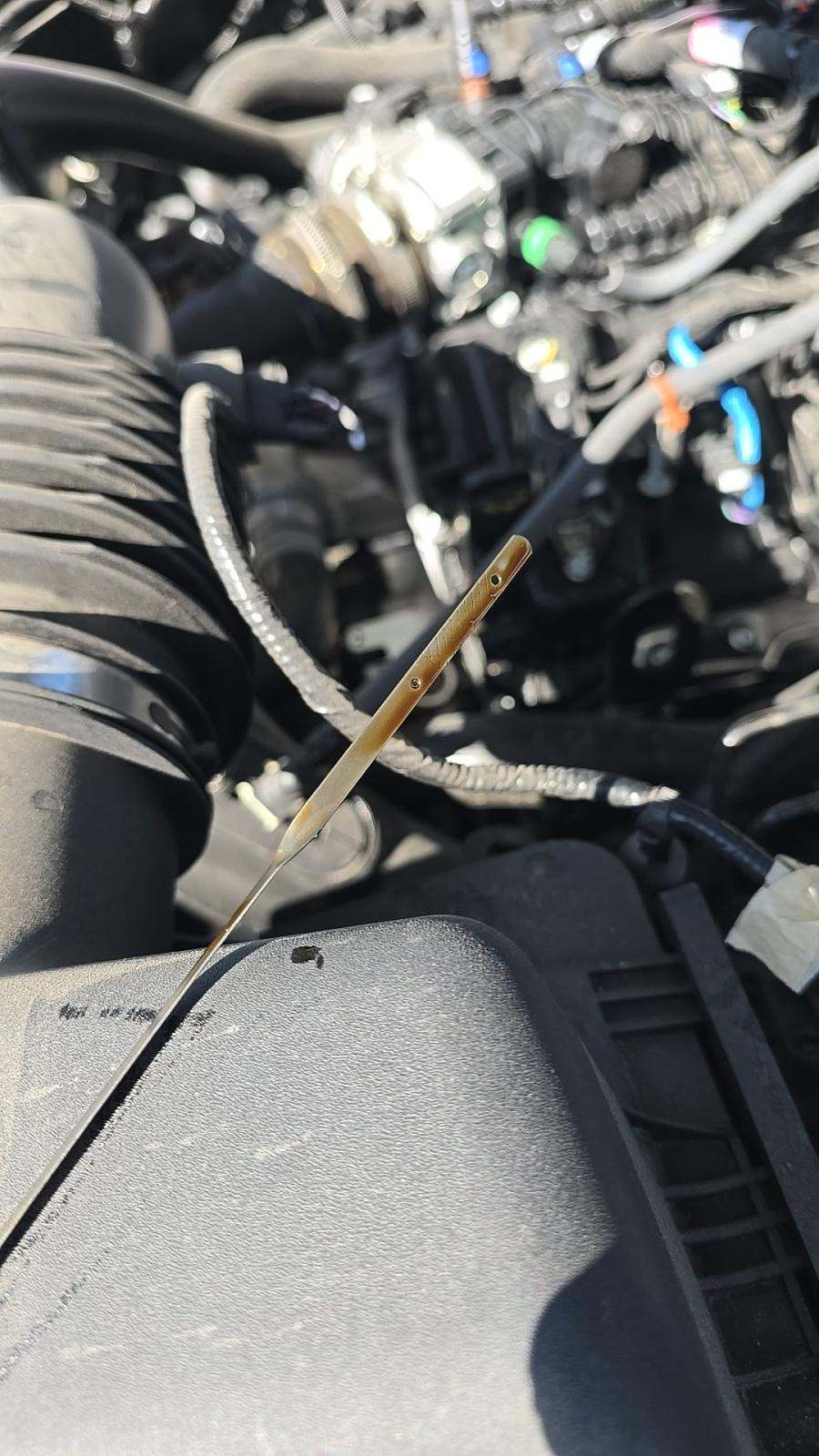 2025 Ford F-150 STX RWD