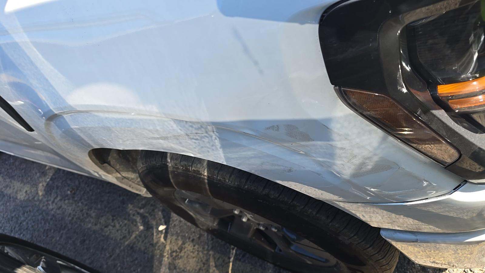 2025 Ford F-150 STX RWD