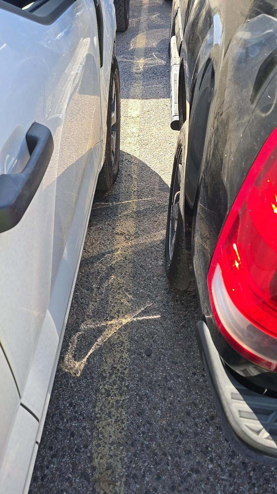 2025 Ford F-150 STX RWD