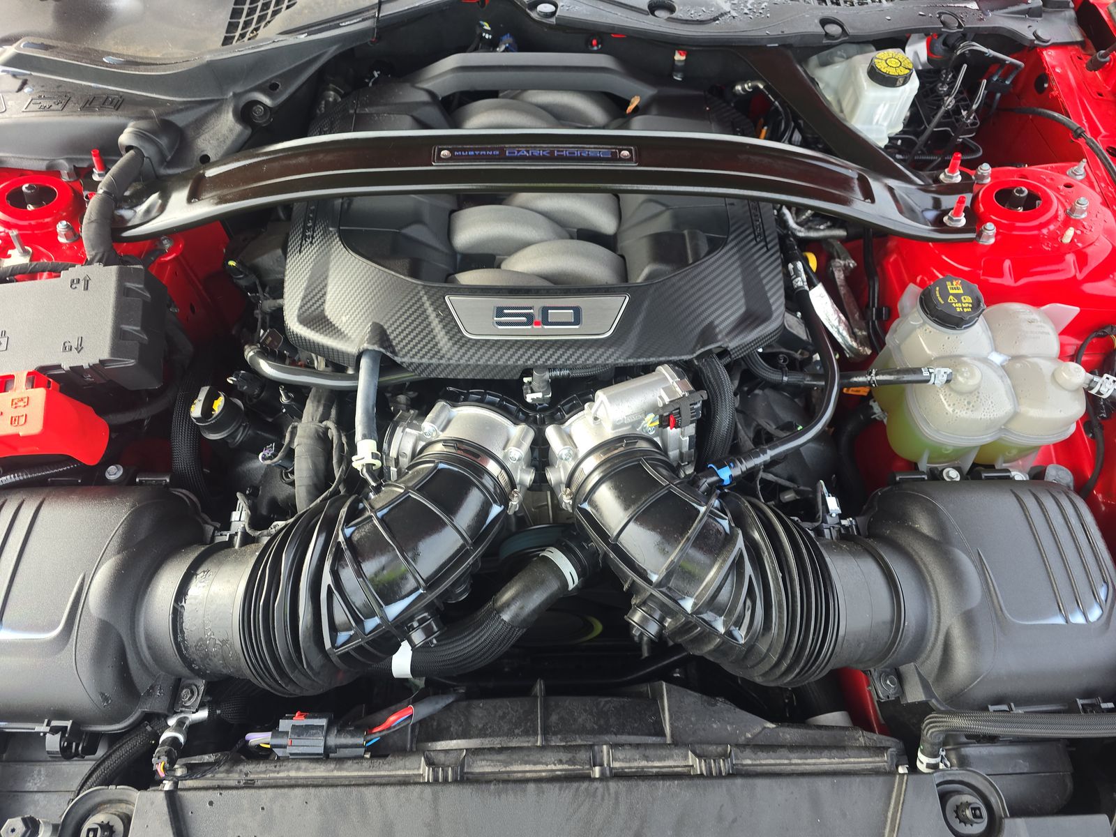 2024 Ford Mustang Dark Horse RWD