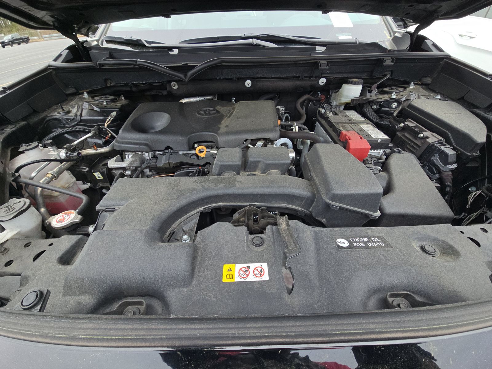 2024 Toyota RAV4 XLE FWD