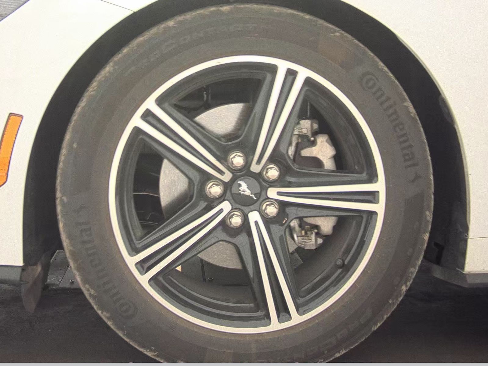 2025 Ford Mustang EcoBoost Premium RWD