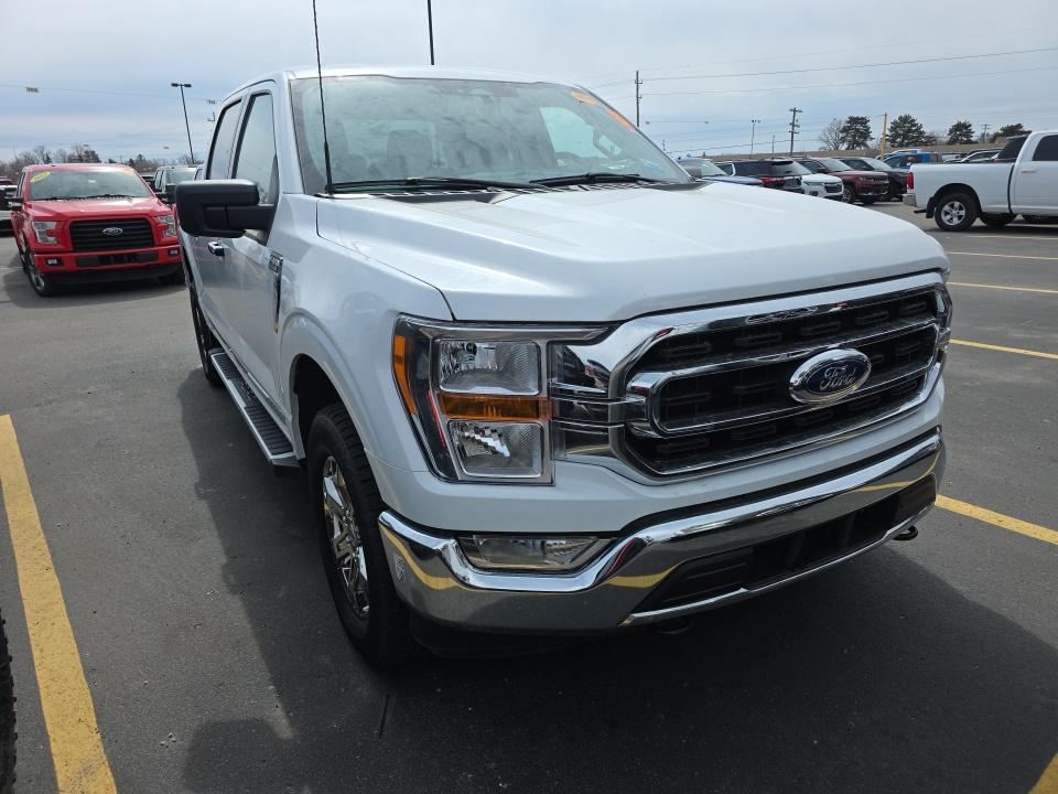 2023 Ford F-150 XLT AWD