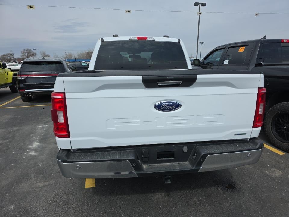 2023 Ford F-150 XLT AWD