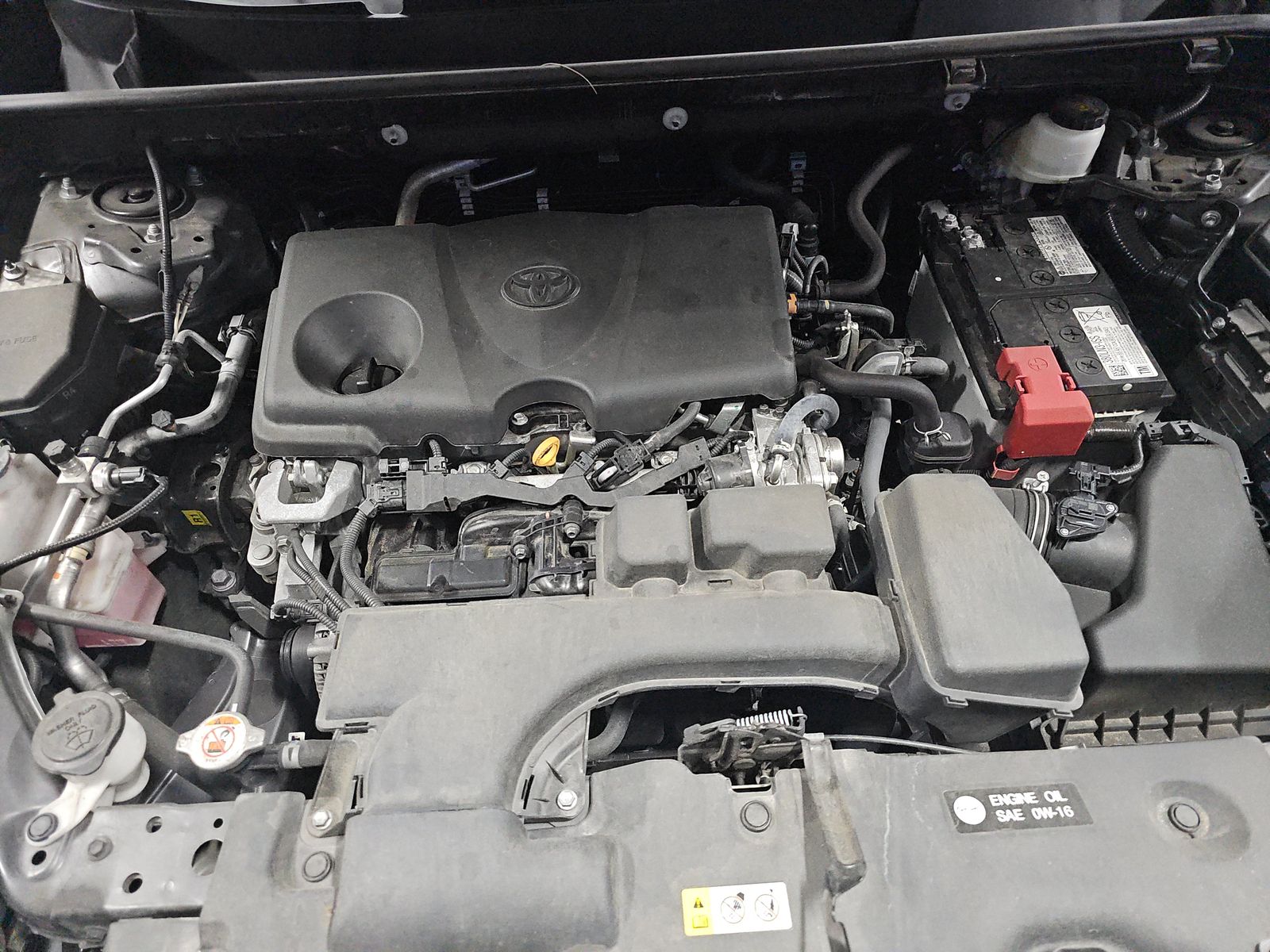 2024 Toyota RAV4 XLE AWD