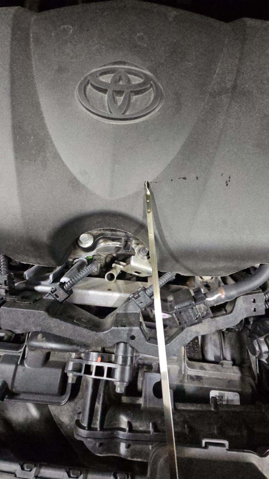 2024 Toyota RAV4 XLE AWD