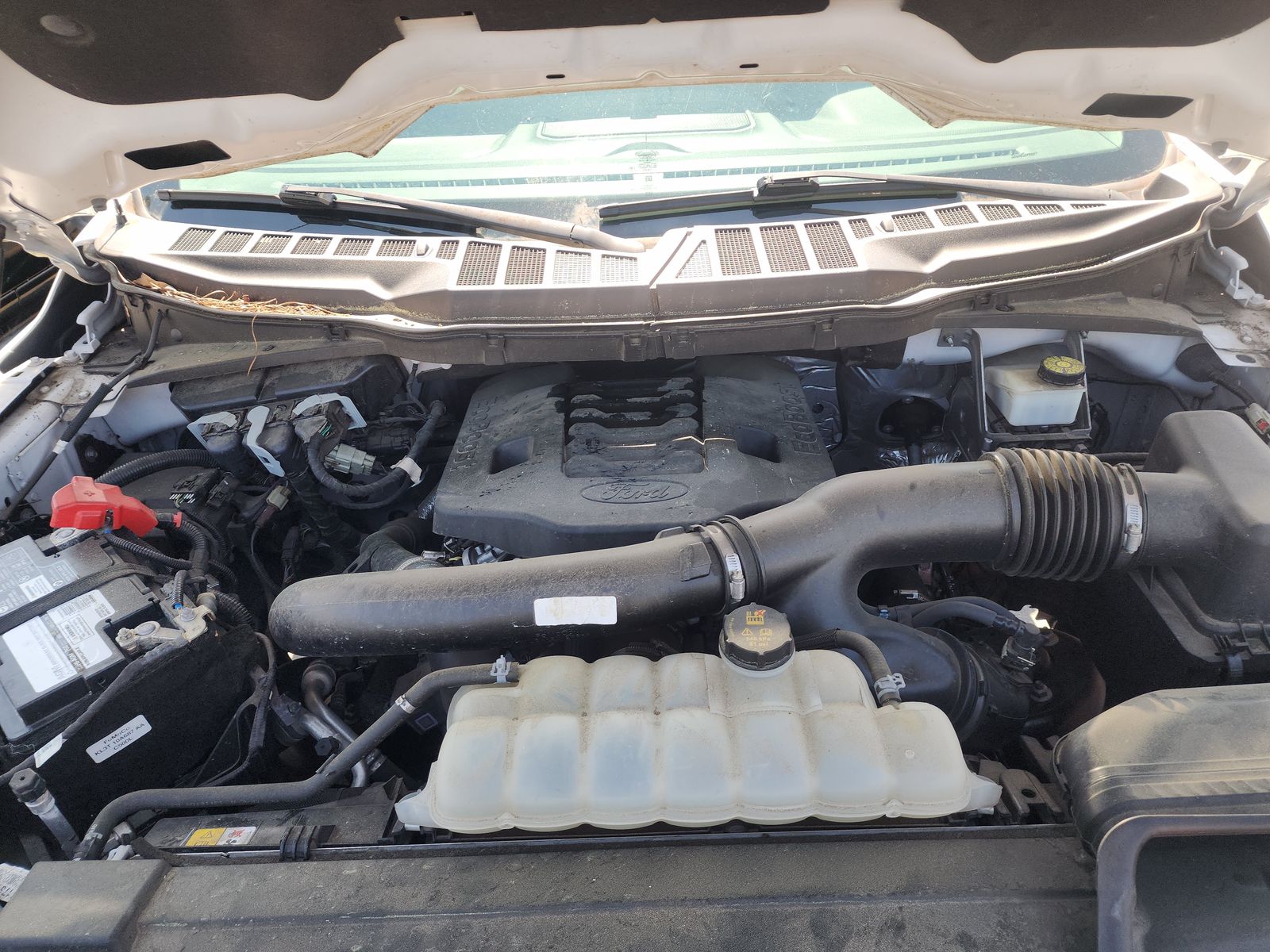 2021 Ford F-150 XLT RWD