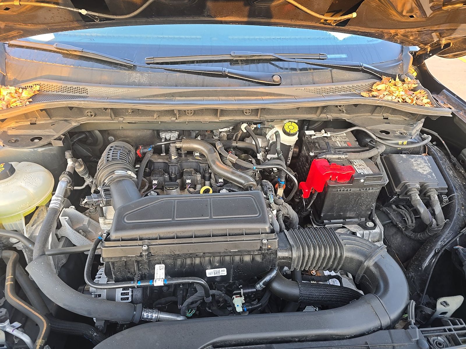 2024 Ford Escape ST-Line AWD