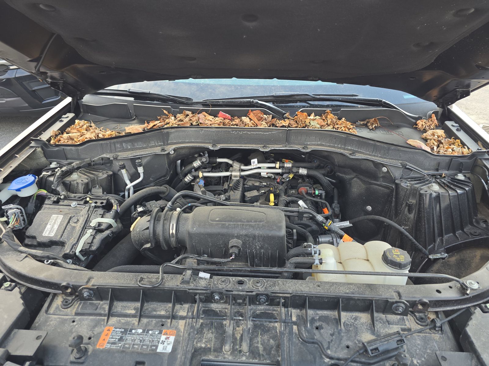 2023 Ford Explorer XLT AWD