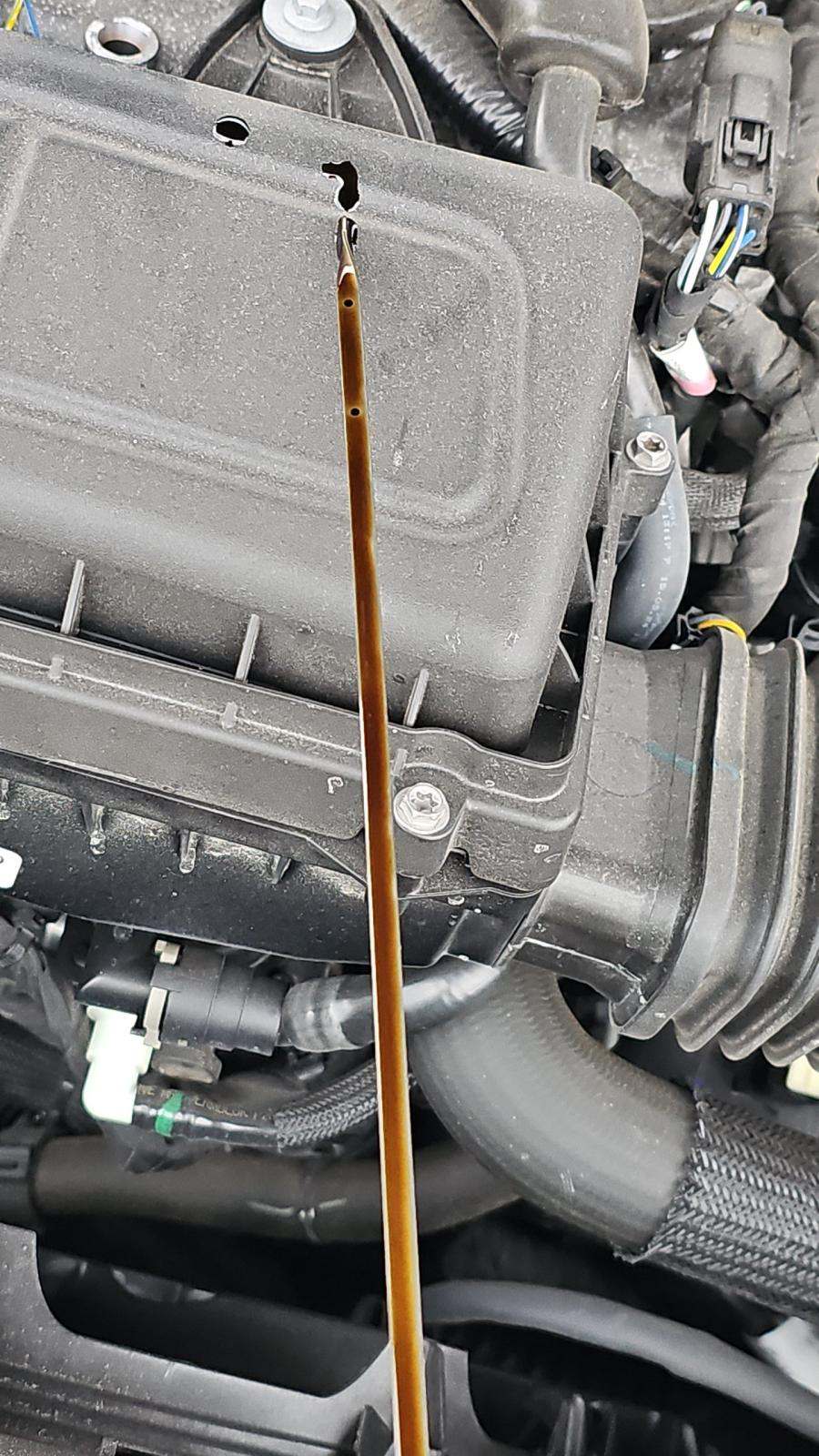 2025 Ford Escape Active AWD