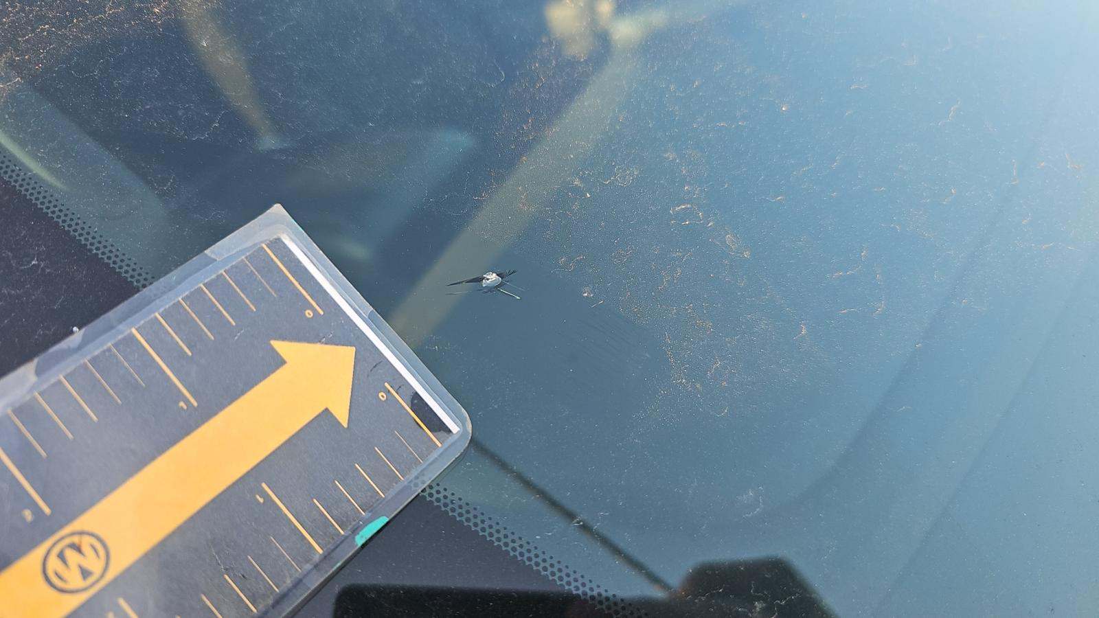 2023 Ford F-150 XL AWD