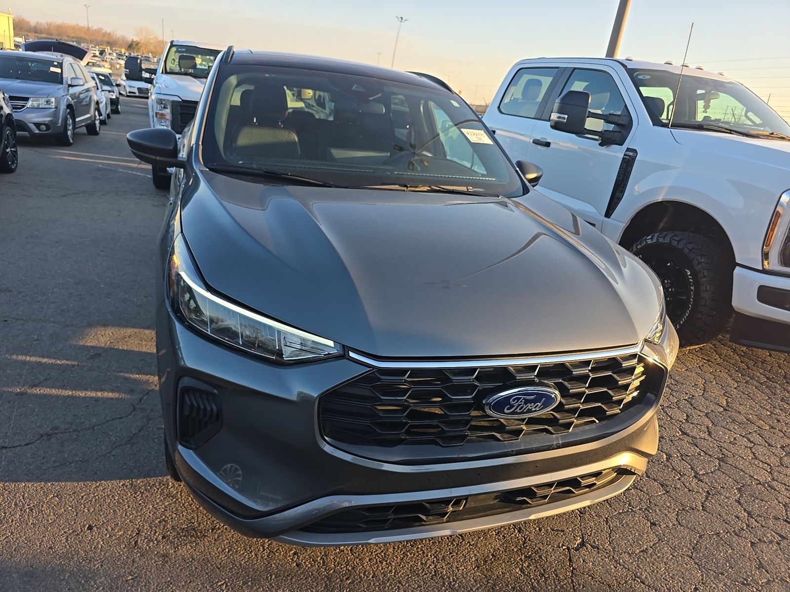 2024 Ford Escape ST-Line AWD