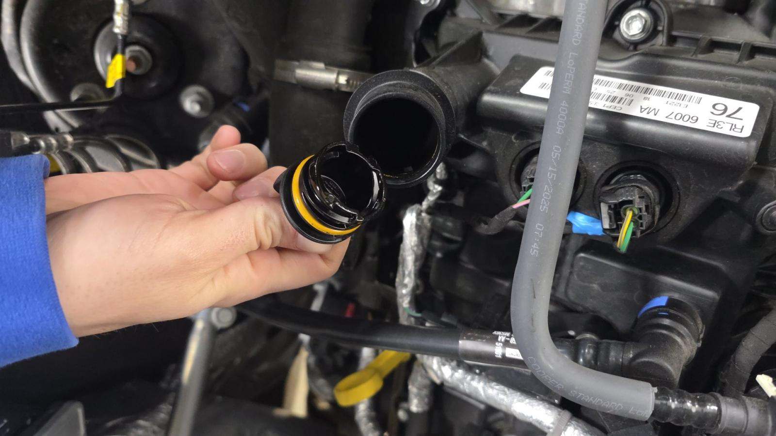 2025 Ford F-150 XLT AWD