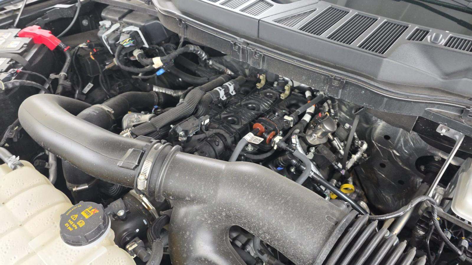 2025 Ford F-150 XLT AWD