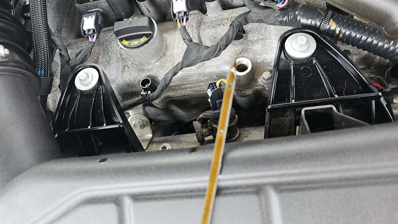 2024 Ford Escape ST-Line AWD