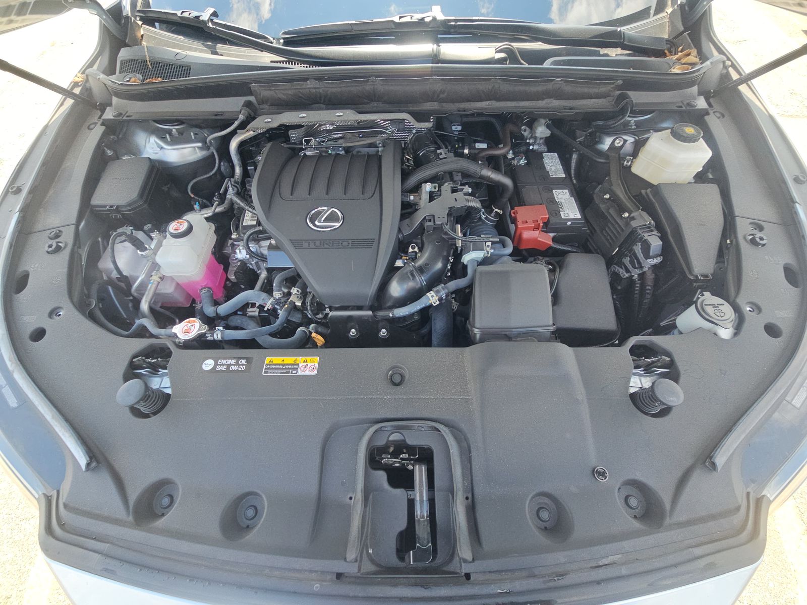 2024 Lexus RX RX 350 Premium Plus FWD