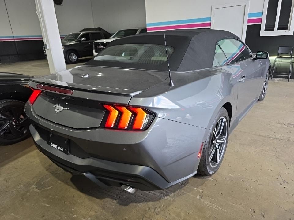 2024 Ford Mustang EcoBoost Premium RWD