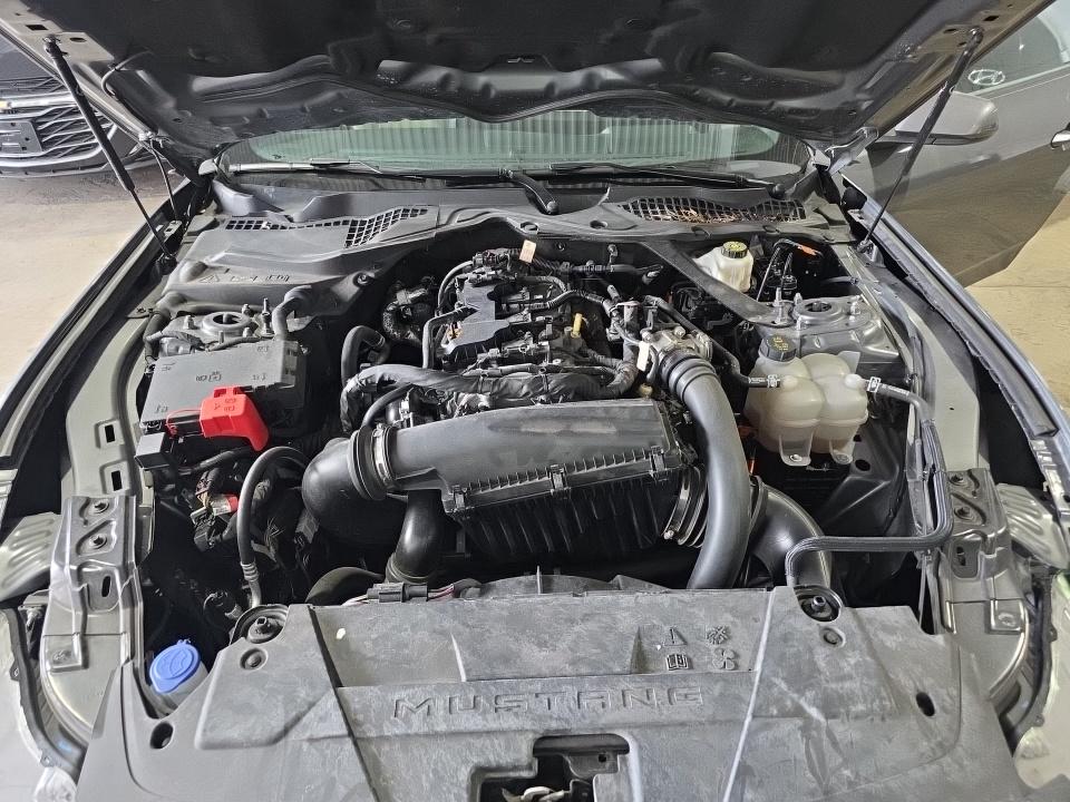 2024 Ford Mustang EcoBoost Premium RWD