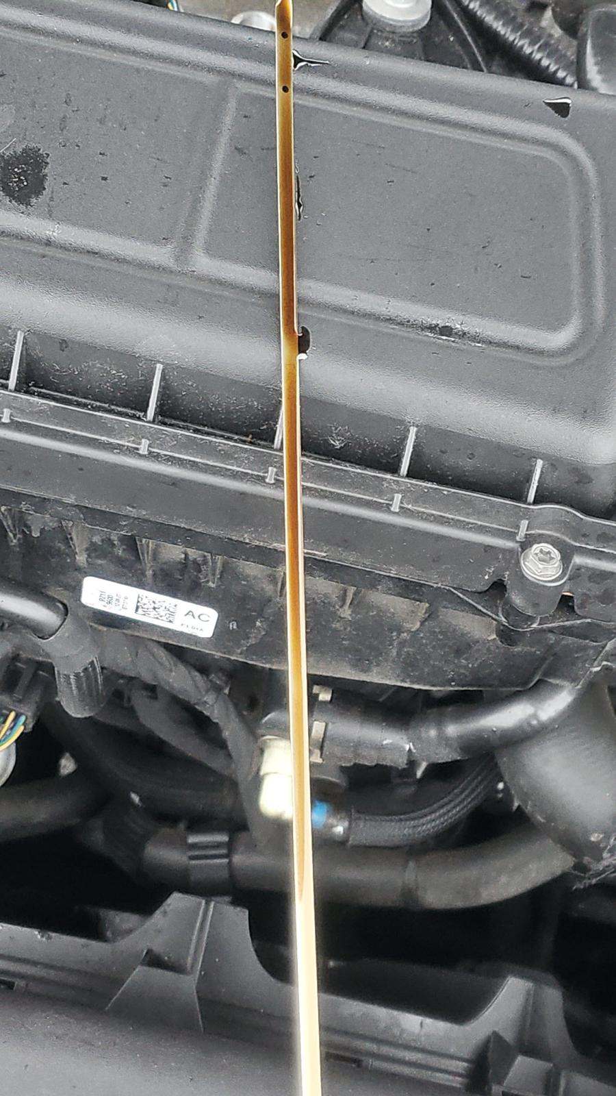 2023 Ford Escape Active FWD