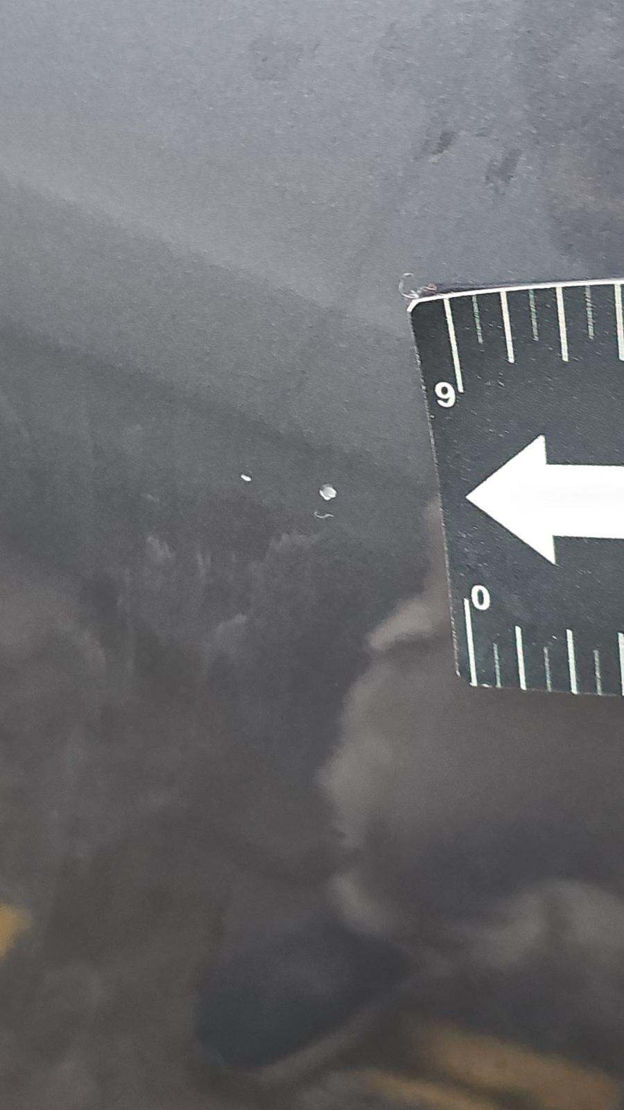 2023 Ford Escape Active FWD