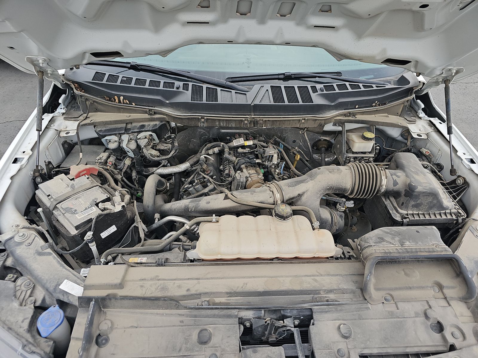 2023 Ford F-150 XLT AWD