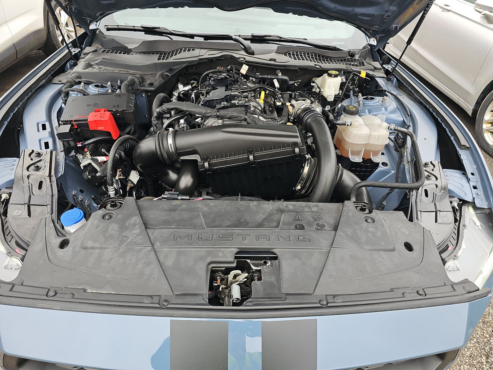 2024 Ford Mustang EcoBoost Premium RWD