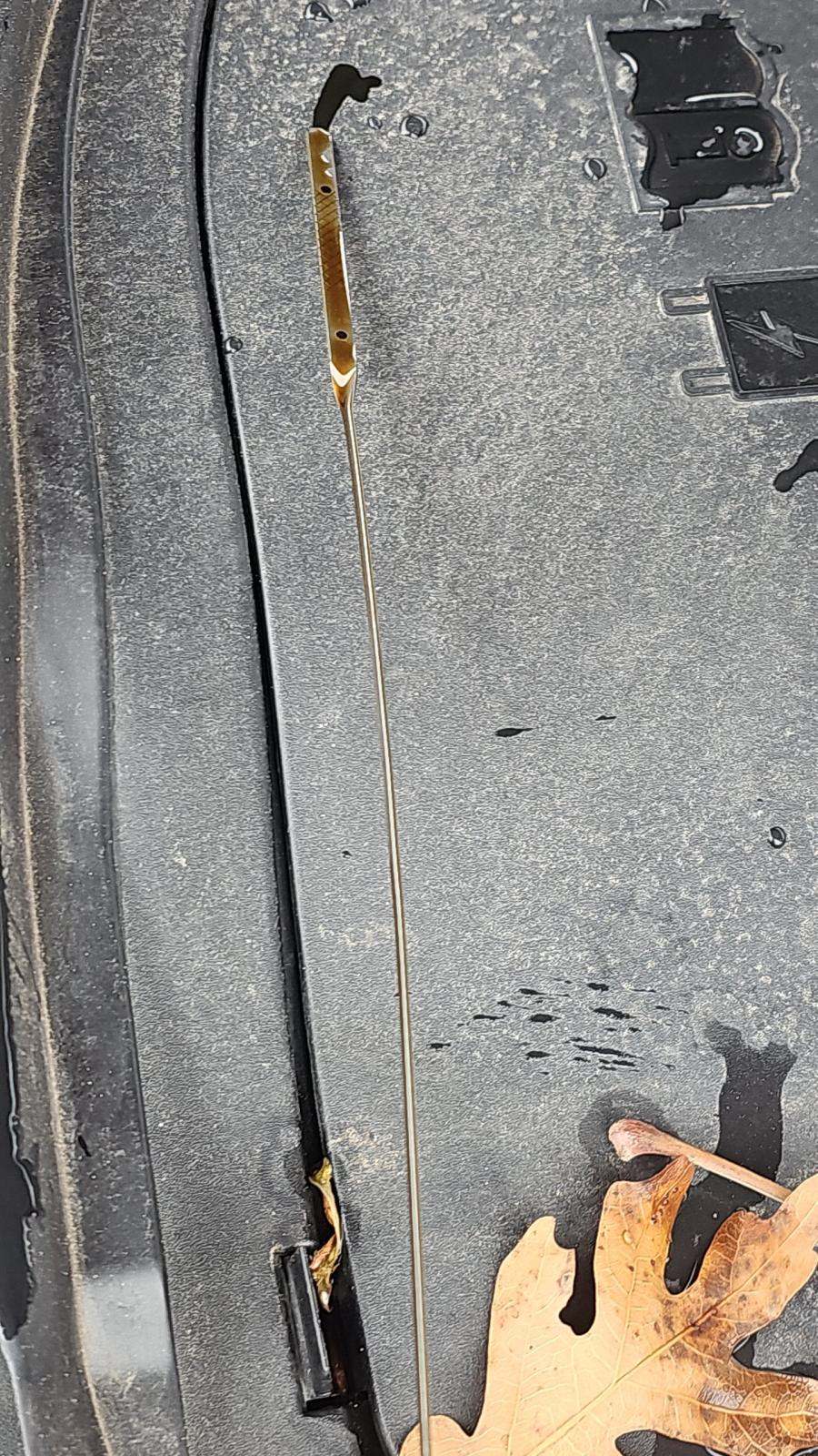 2023 Ford Explorer XLT AWD