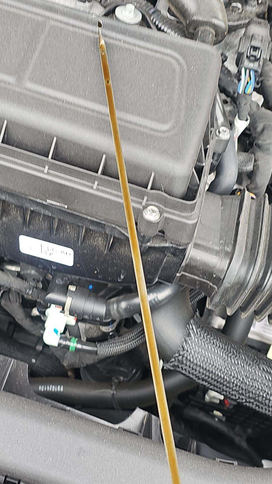 2025 Ford Escape Active AWD