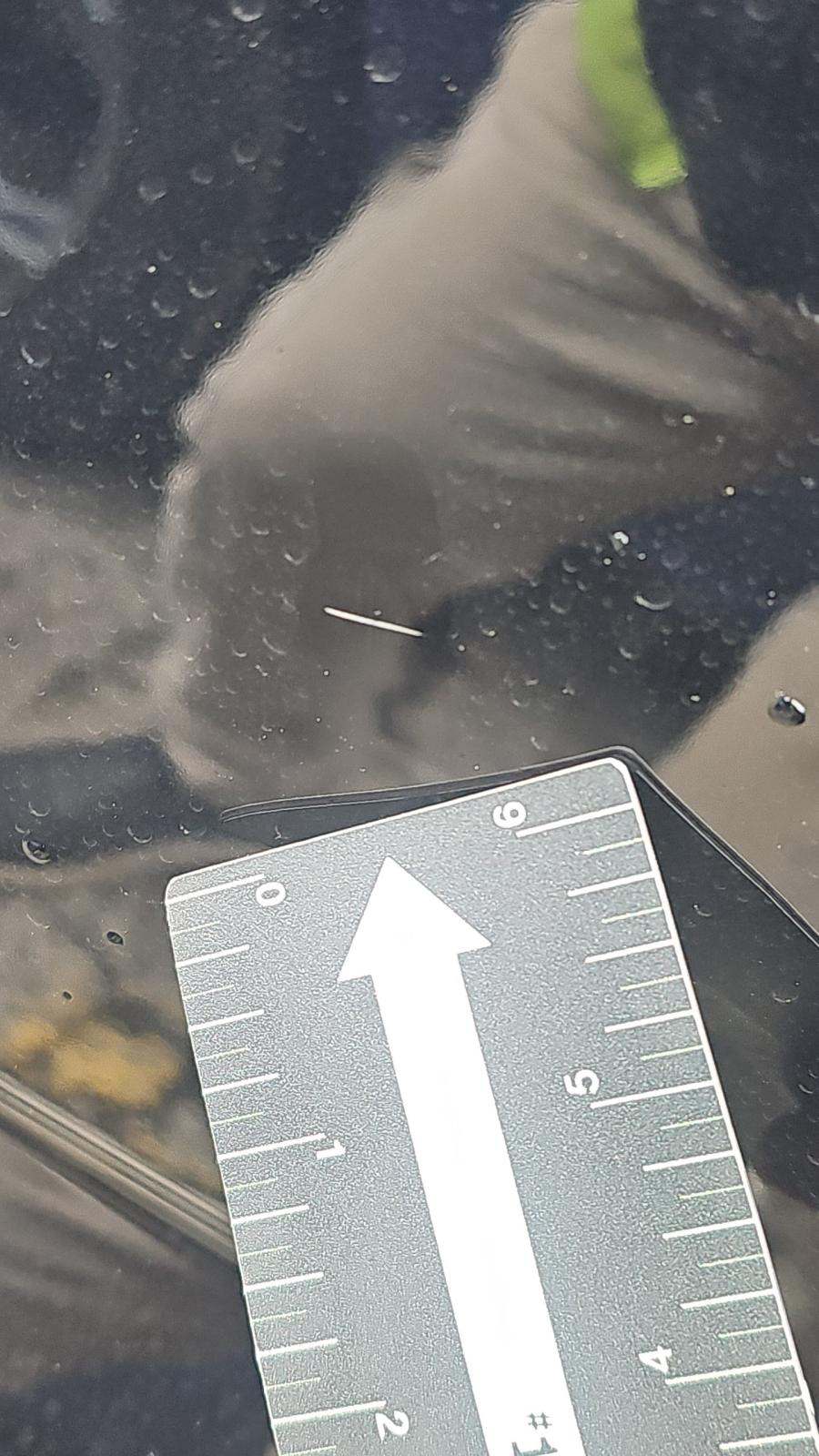 2023 Ford F-150 Hybrid XLT AWD